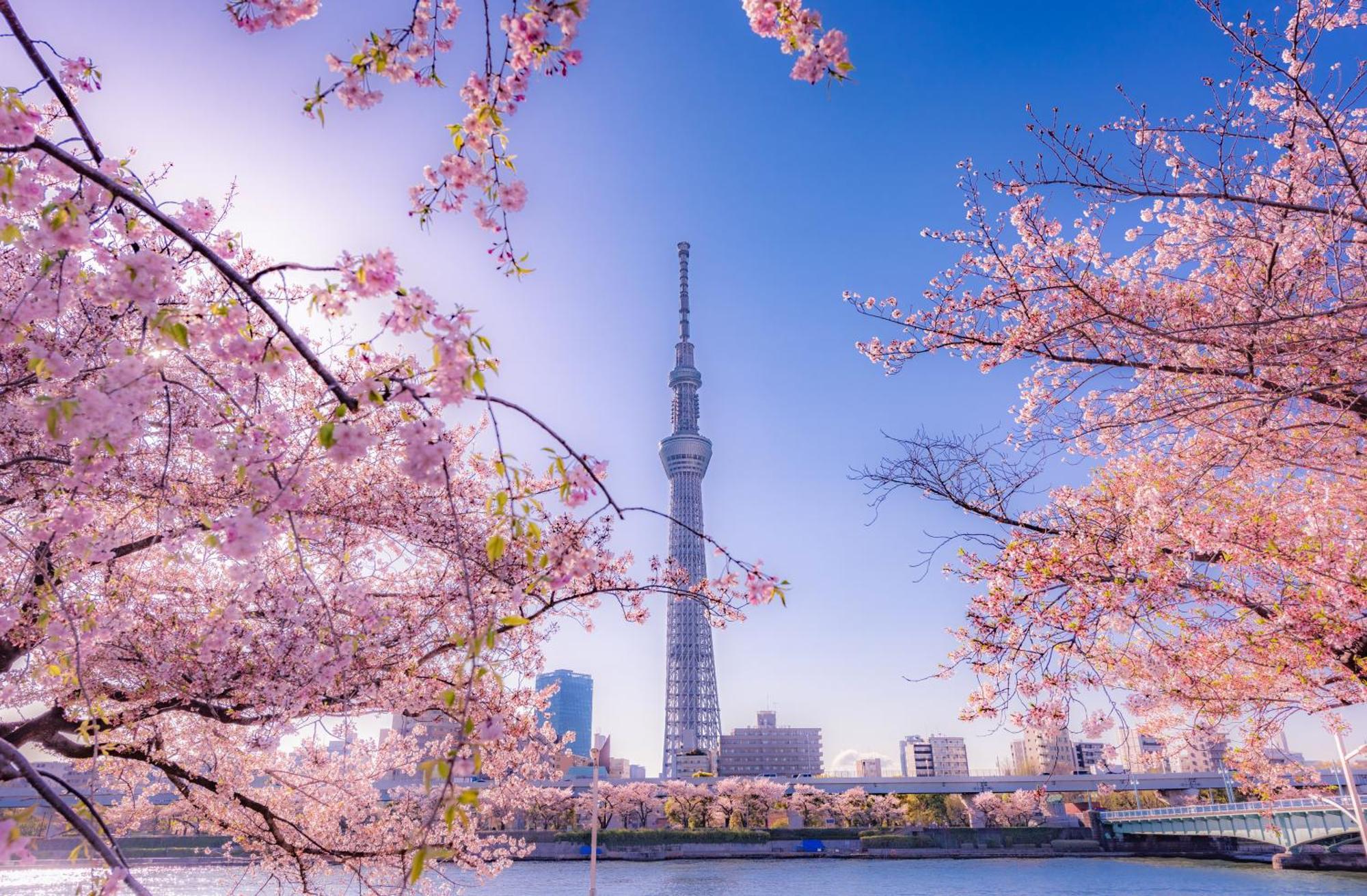 The Westin Tokyo Hotel Eksteriør billede