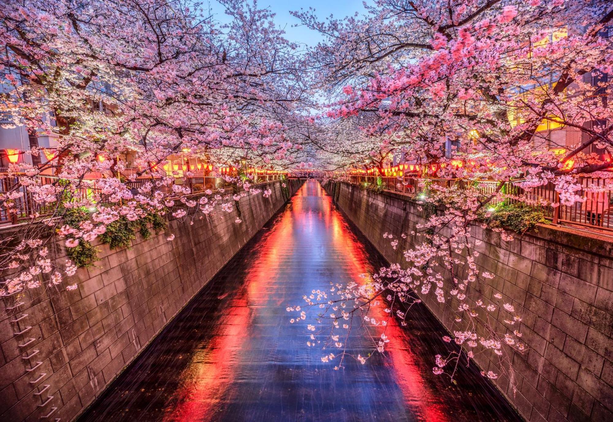The Westin Tokyo Hotel Eksteriør billede
